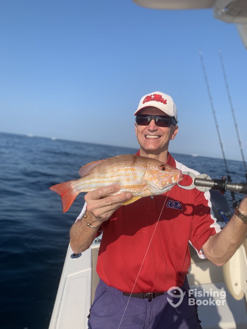 Orange Beach Report Photo 0