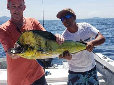 Puerto Vallarta Report Photo 2