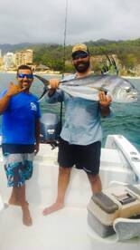 Mahi Mahi time!