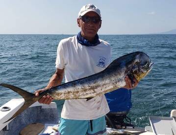 Puerto Vallarta Report Photo 1