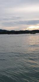 Panama City Report Photo 2