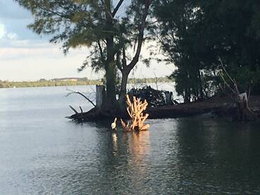 October Fishing Forecast