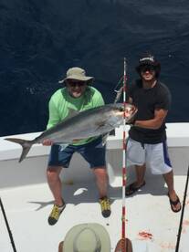 Dania Beach Report Photo 1