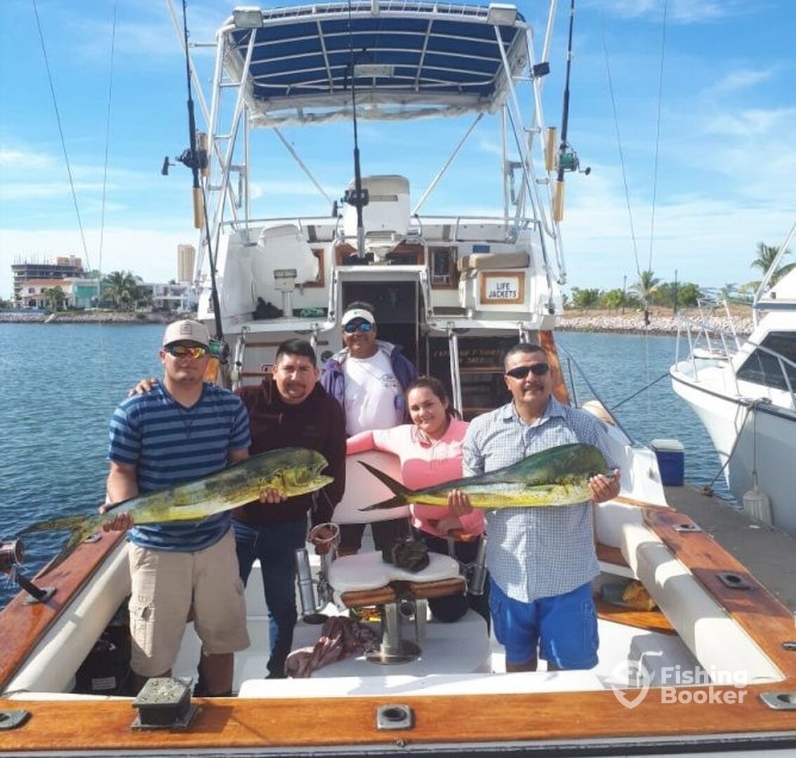 Mazatlán Report Photo 0