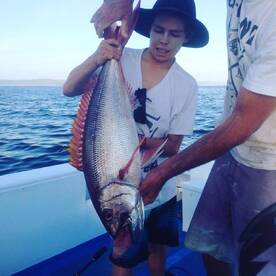 Banyuwangi Report Photo 3