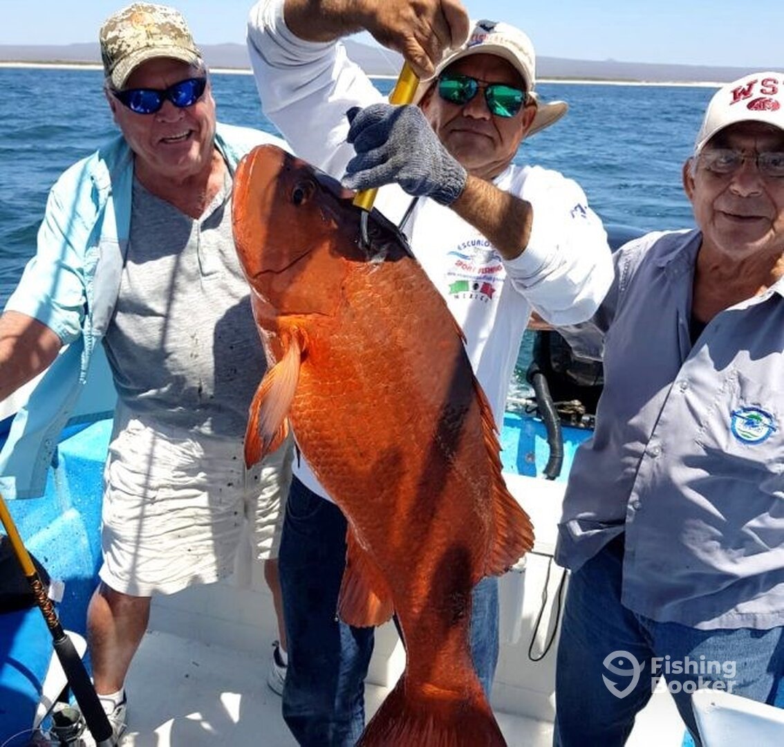 Mazatlán Report Photo 0