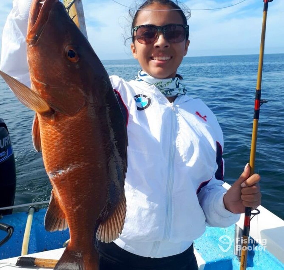 Mazatlán Report Photo 0