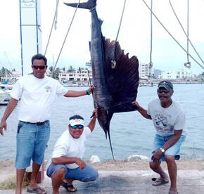 Carlos Williams Colorado U.S.A