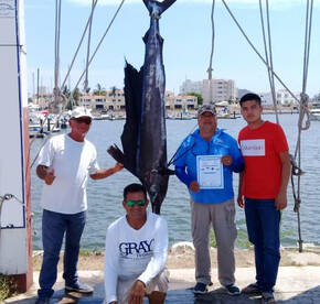 Jose Antonio Brussolo