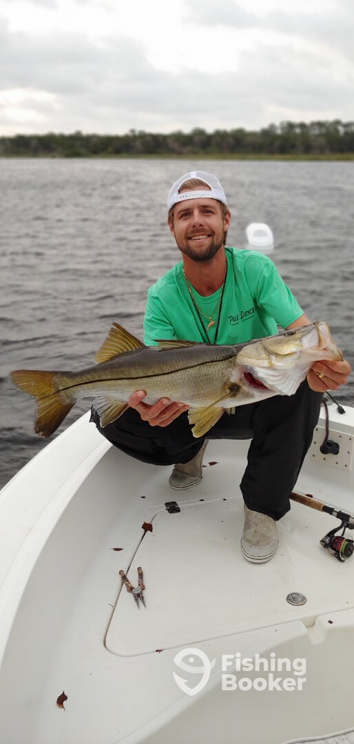 Port Orange Report Photo 0