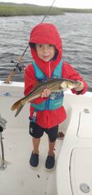 Port Orange Report Photo 2