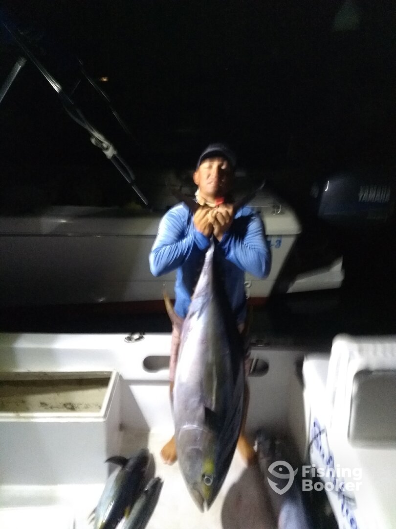 San Jose del Cabo Report Photo 0