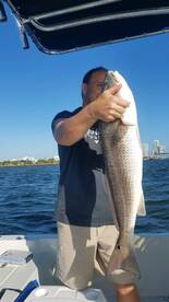 Bay Pines Report Photo 1