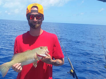 Cairns Report Photo 1