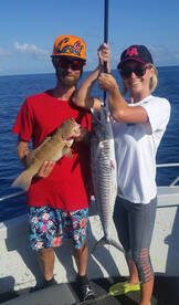 Cairns Report Photo 2