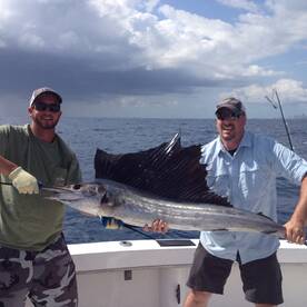 Dania Beach Report Photo 1