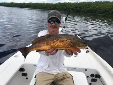 Port Charlotte Report Photo 2