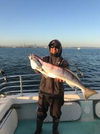 San Francisco Report Photo 1
