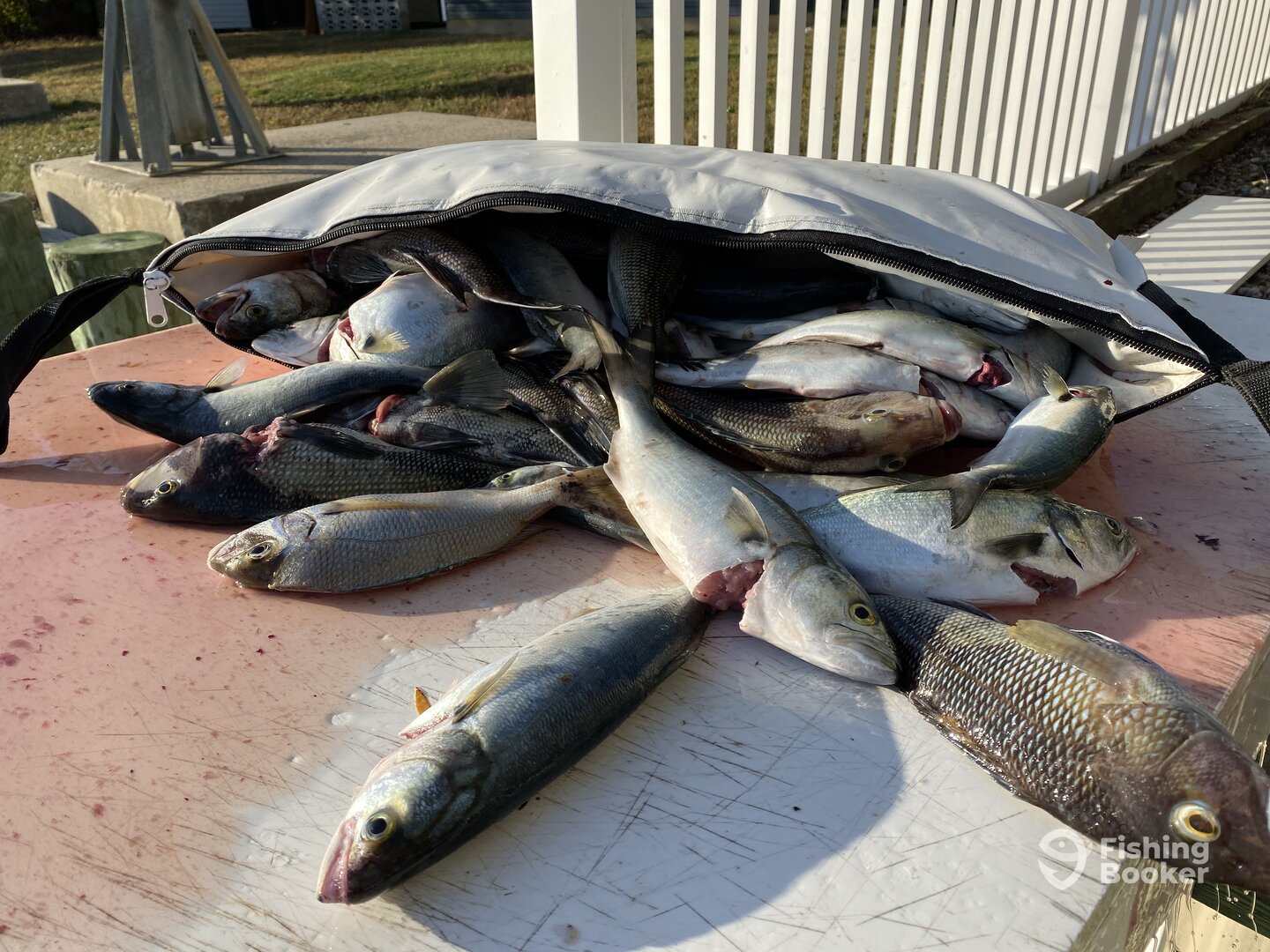 Lacey Township Report Photo 0