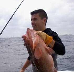 Fort Lauderdale Report Photo 1