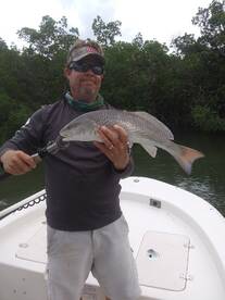 Bonita Springs Report Photo 1