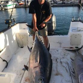 Ponta Delgada Report Photo 2