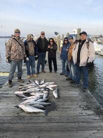 Chesapeake Beach Report Photo 2