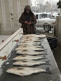 Chesapeake Beach Report Photo 1