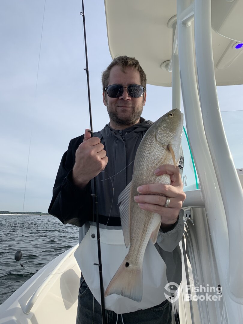 Orange Beach Report Photo 0