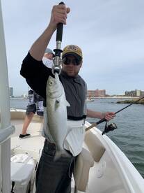 Orange Beach Report Photo 1