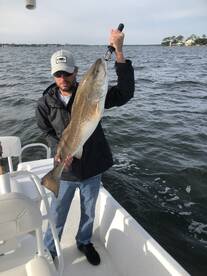 Orange Beach Report Photo 1