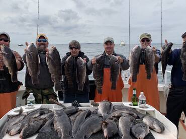 Montauk Report Photo 2
