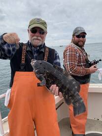 Montauk Report Photo 1