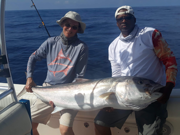 Reef Donkey on the wreck and more!