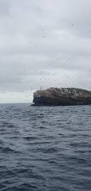 Panama City Report Photo 1