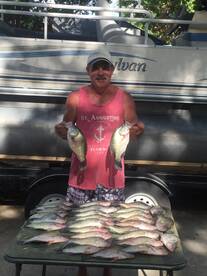 Lewisville Report Photo 1