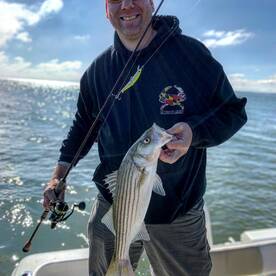 Solomons Report Photo 1