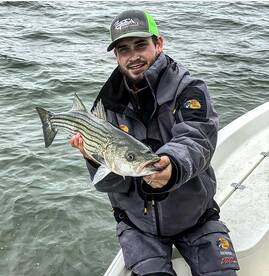 Solomons Report Photo 2