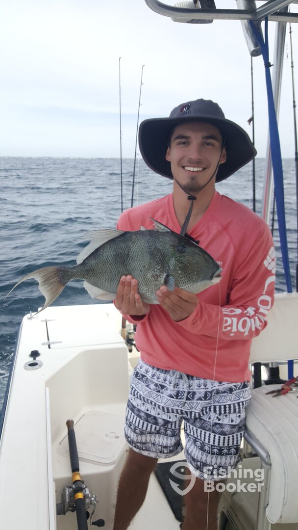 Destin Report Photo 0