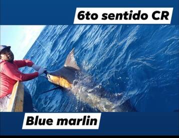 Sexto sentido fishing Day
