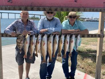 Aransas Pass Report Photo 1