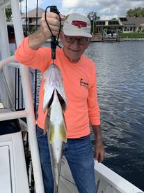 Clearwater Report Photo 1