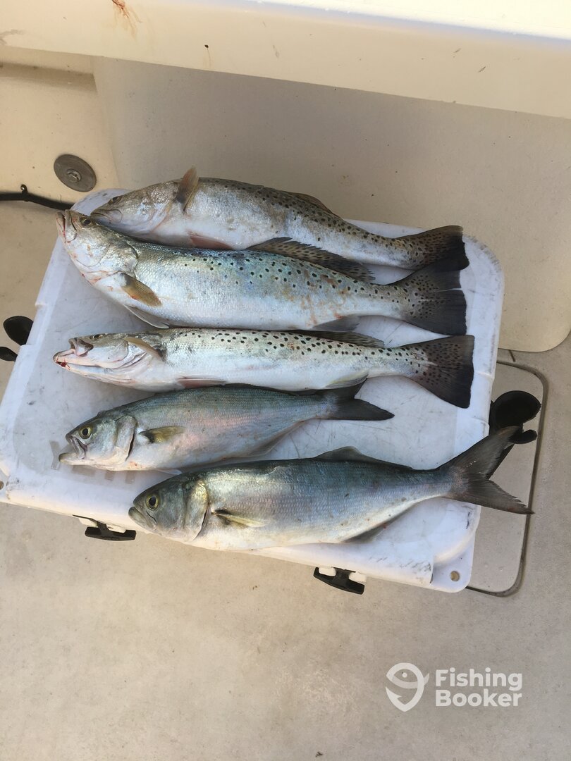 Poquoson Report Photo 0