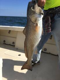 Poquoson Report Photo 2