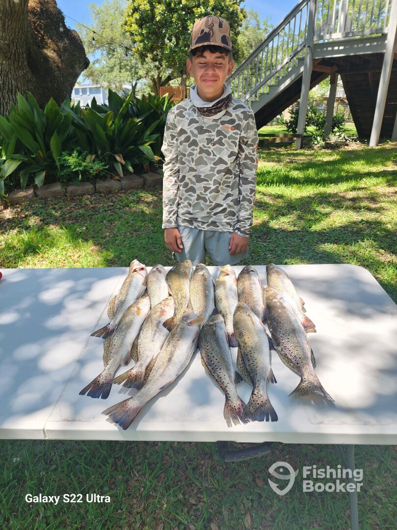 Ocean Springs Report Photo 0