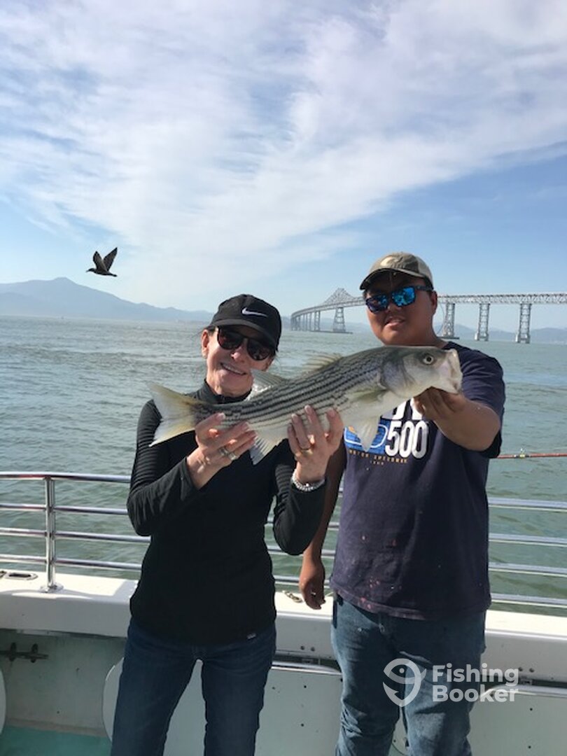San Francisco Report Photo 0