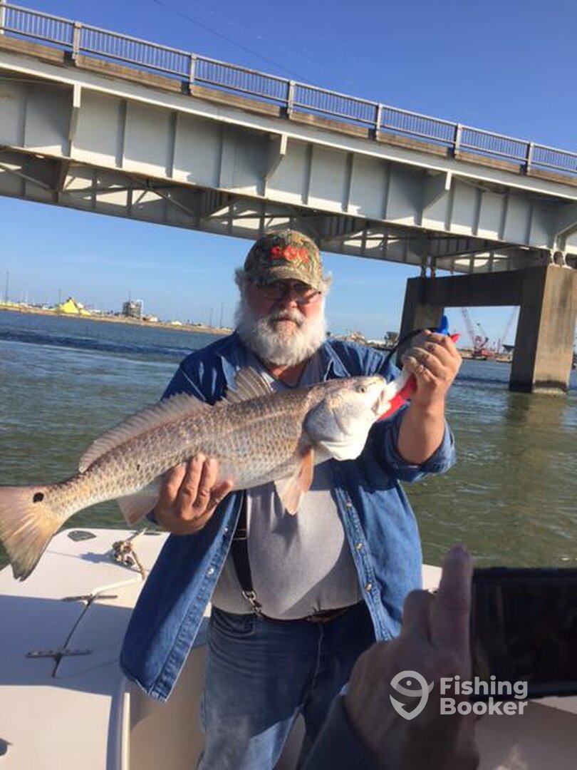 Galveston Report Photo 0