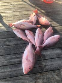 Destin Report Photo 2