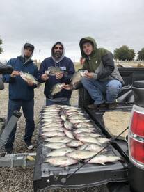 Lewisville Report Photo 2