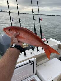 Orange Beach Report Photo 2